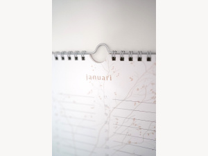 Alternative view of Verjaardagskalender zon